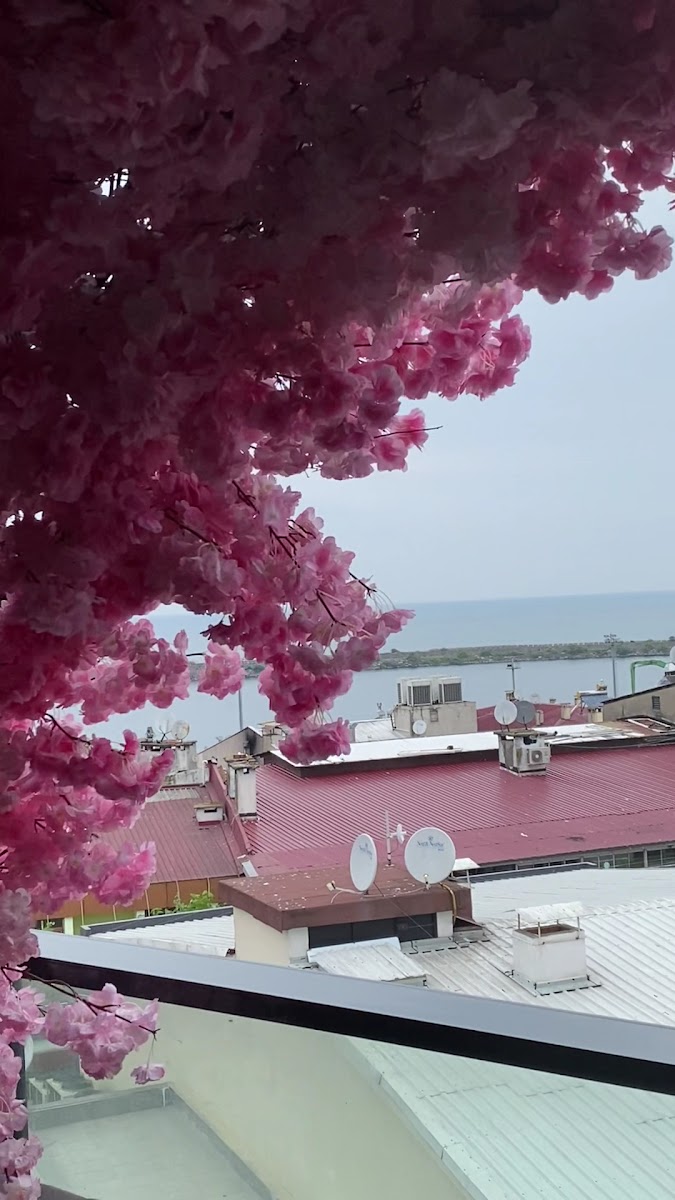 Big Bab Cafe & Restaurant — fotoğraf 6