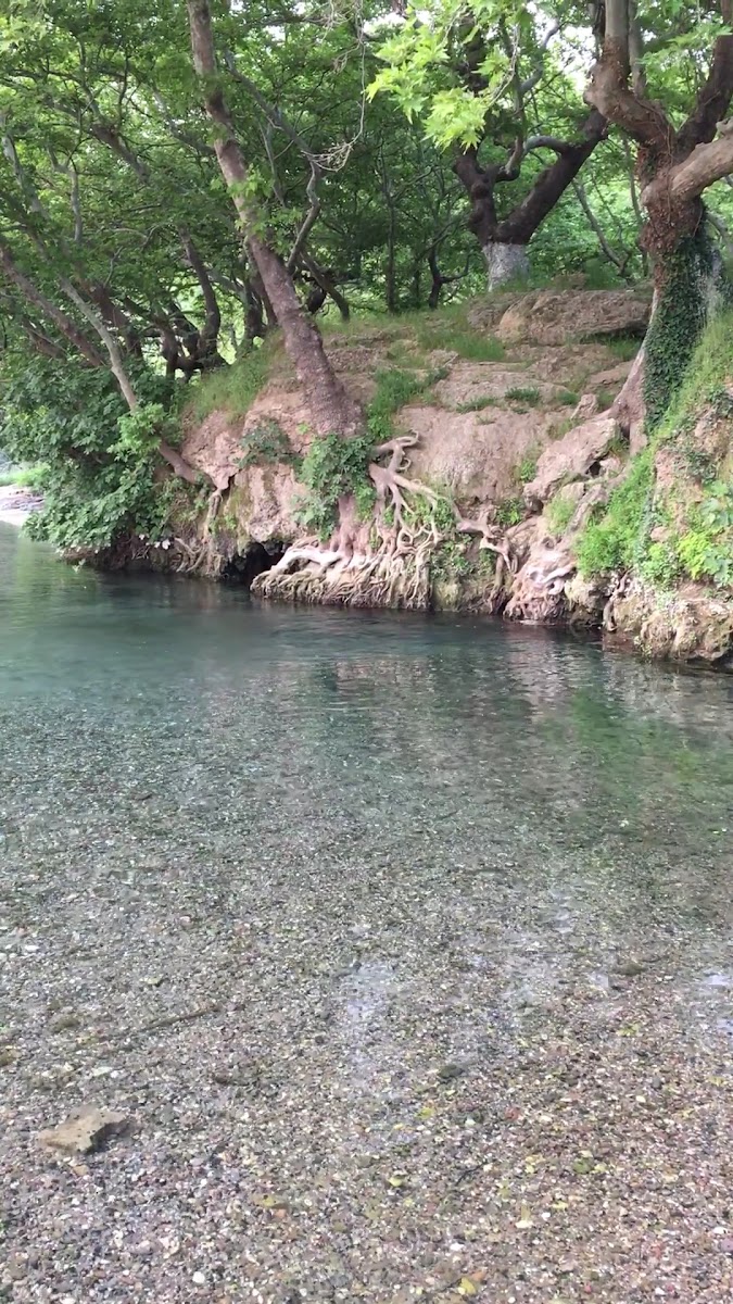 Bigadıç Yeniköy Inana piknik alanı — fotoğraf 2