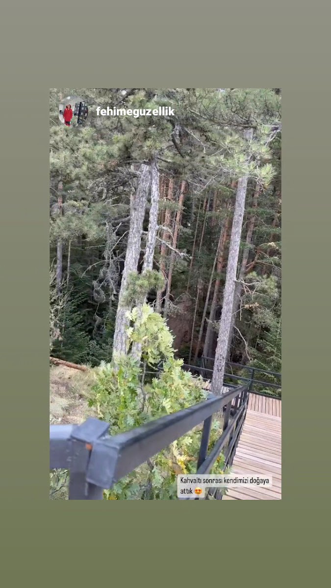 Bilecik Erikli Tabiat Parkı — fotoğraf 3