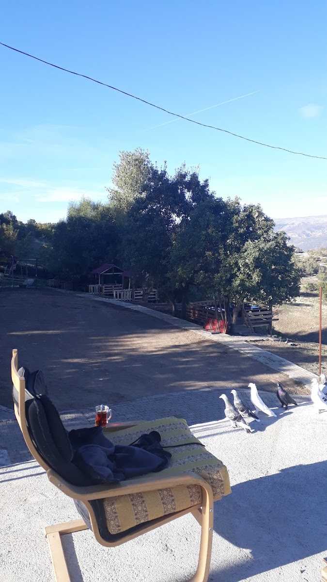 Bingöl Doğa Alabalık Tesisleri Ve Kır Kahvaltı Bahçesi — fotoğraf 5