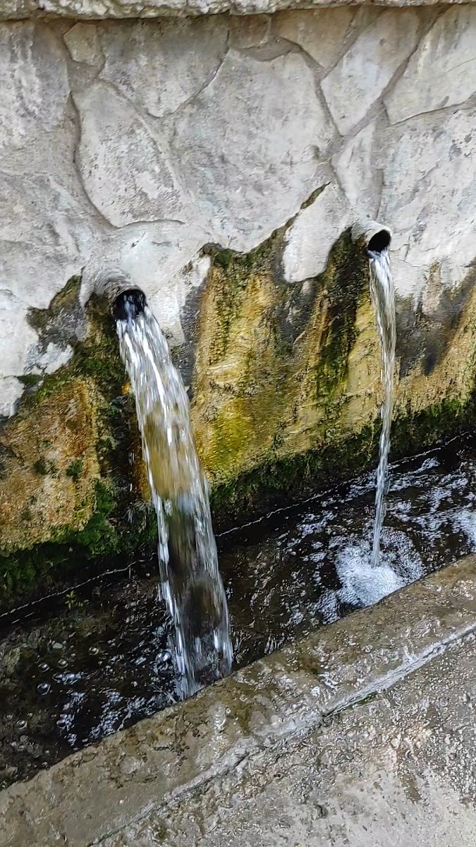 Binkap Kaplıca — fotoğraf 3