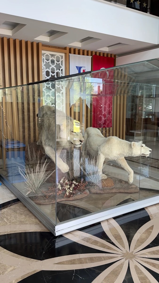 Binkap Resort Otel — fotoğraf 3