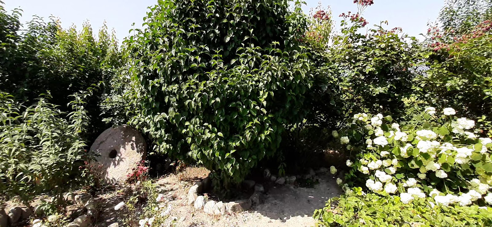 Bio Garden — fotoğraf 3