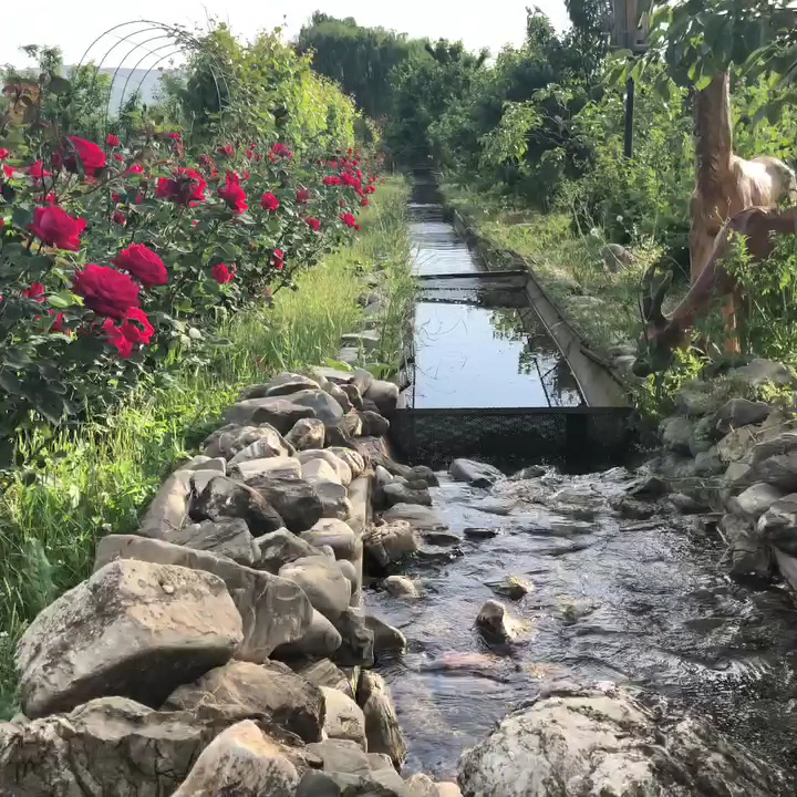 Bio Garden — fotoğraf 5