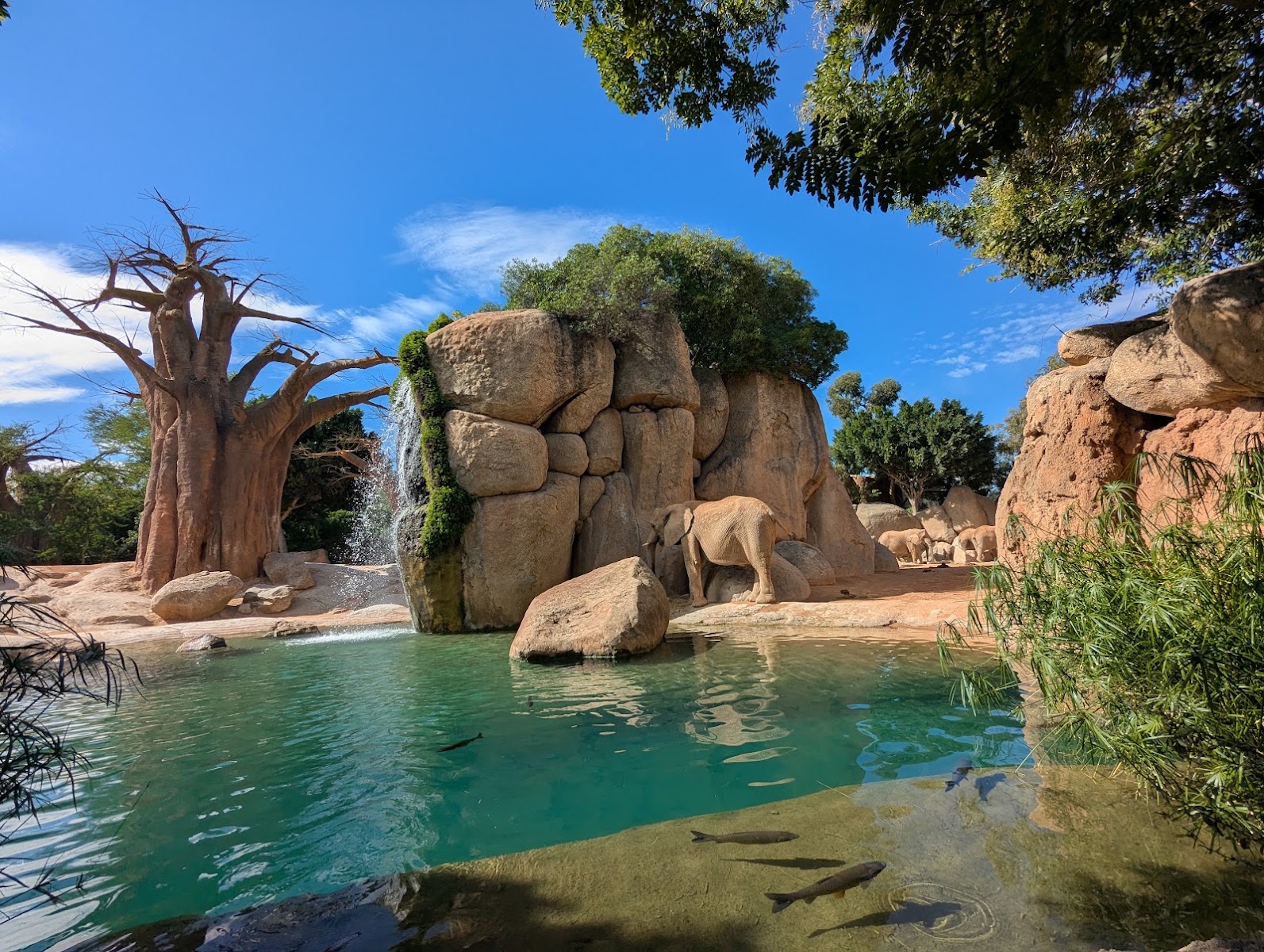 Bioparc Valencia — photo