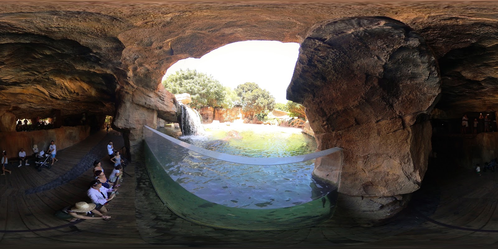 Bioparc Valencia — photo 6