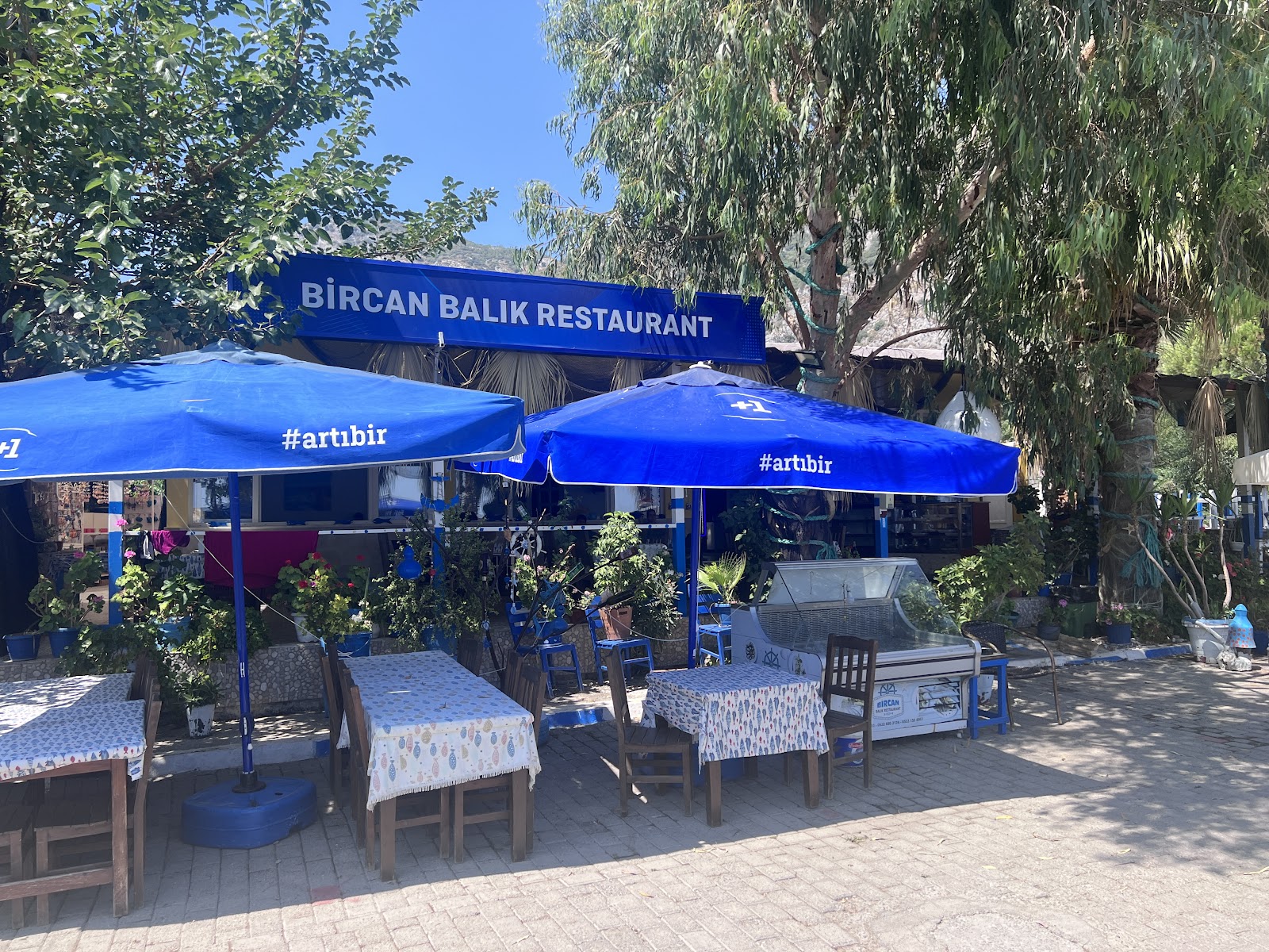 Bircan Balık Restoran — fotoğraf 5