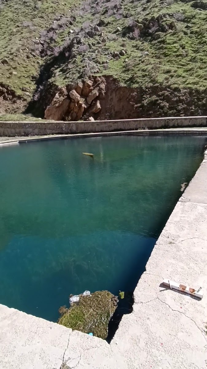 Bitlis altın kalbur mesire alanı — fotoğraf 3