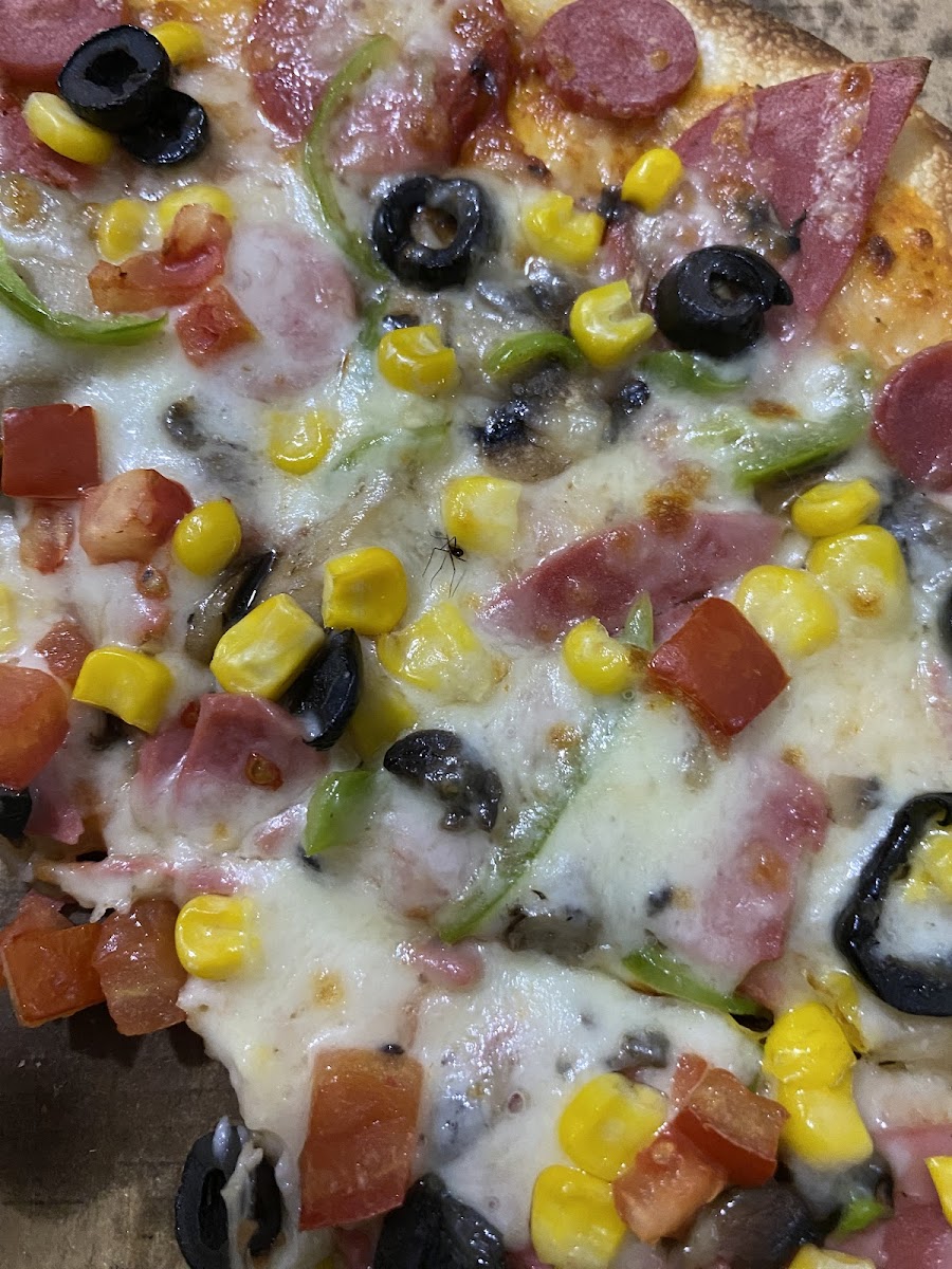 Bitlis Mega pizza — fotoğraf 2