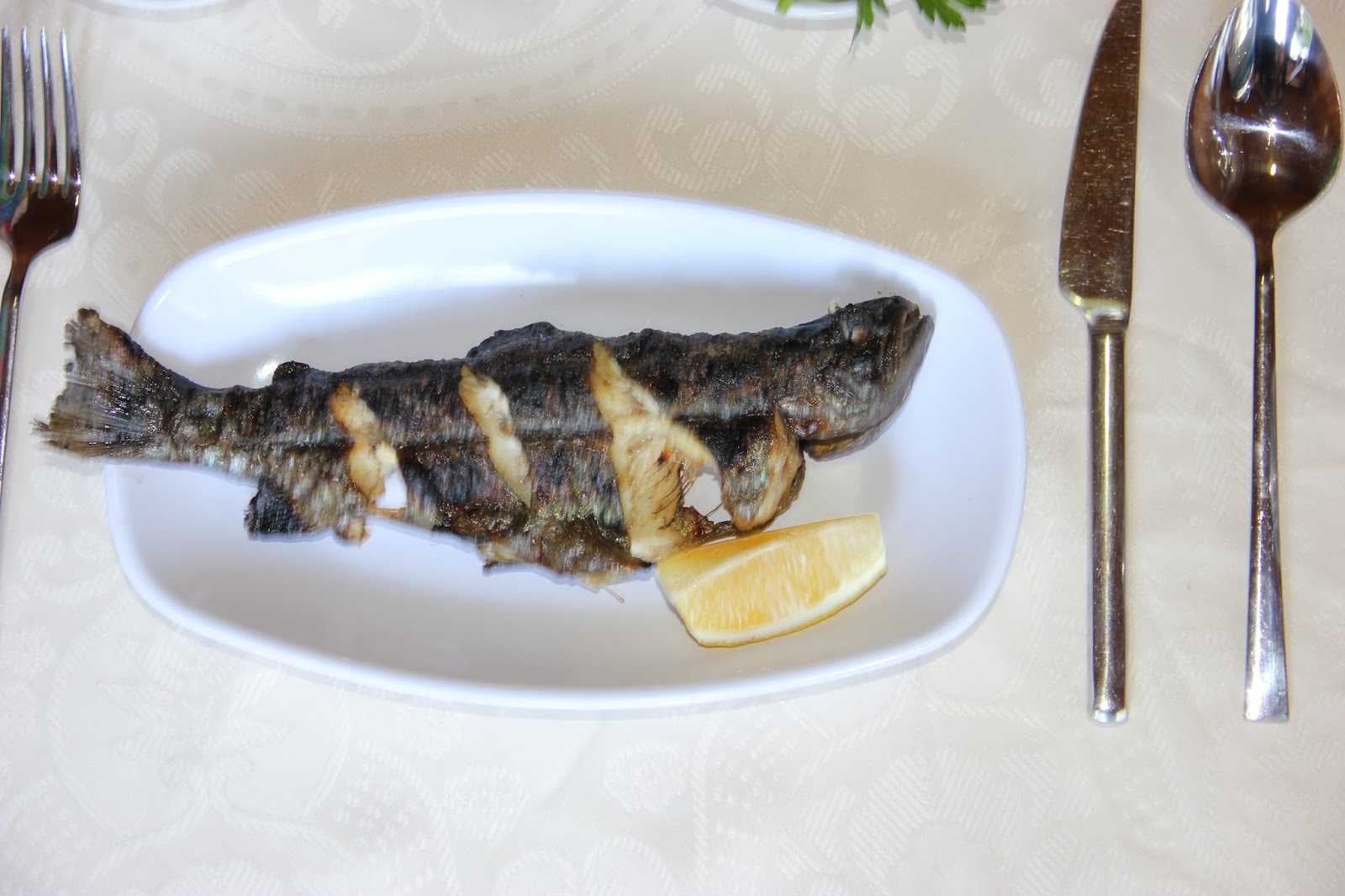 Bizim Dedenin Yeri ÇAYIRBAĞI — photo 5