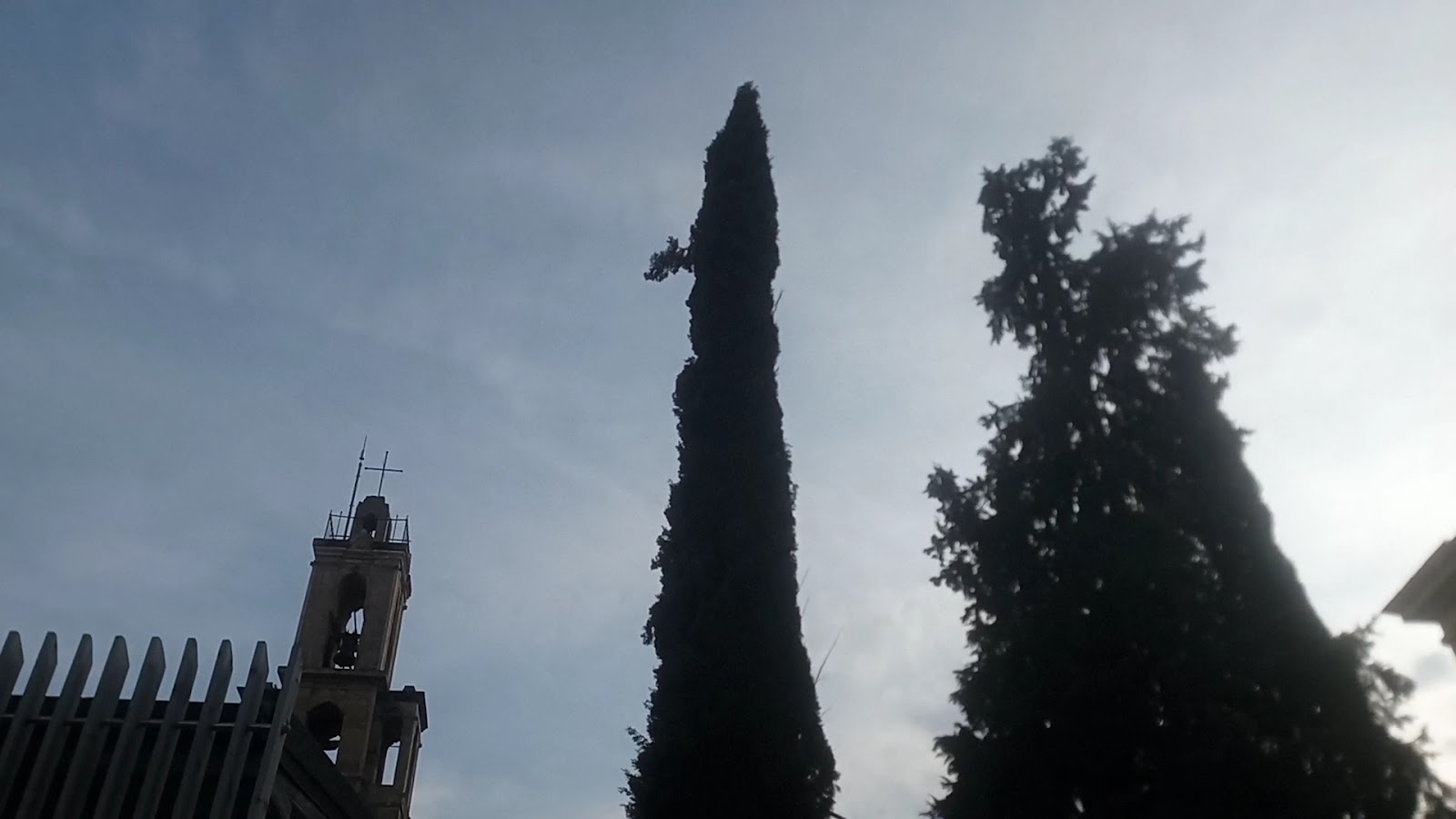 Bizim Leydi Tire Ermeni Kilisesi — photo 4