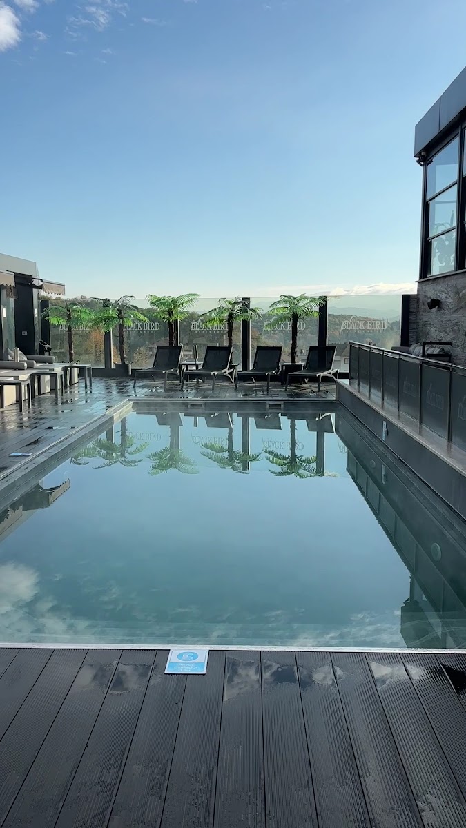 Black Bird Thermal & Spa Yalova Hotel — fotoğraf 3