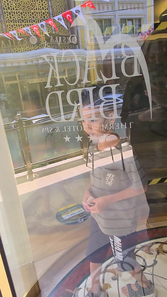 Black Bird Thermal & Spa Yalova Hotel — fotoğraf 5