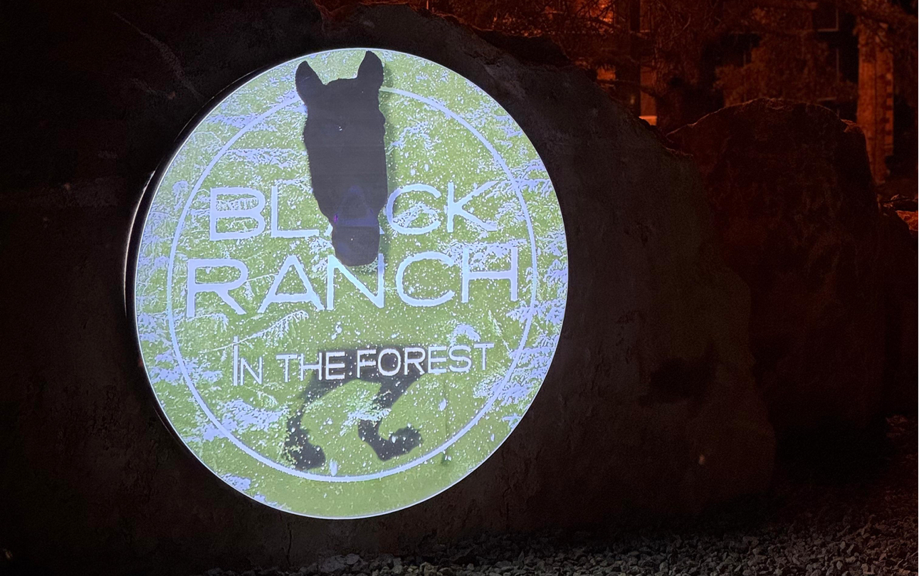 Black Ranch Park — fotoğraf 5