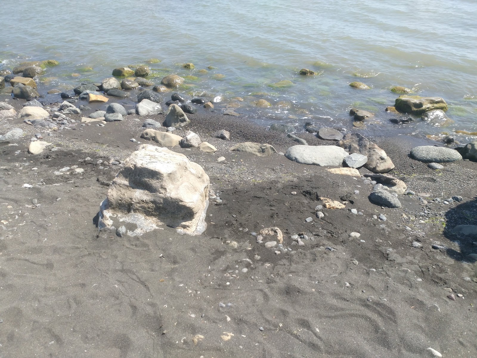 Black sand beach — photo 2