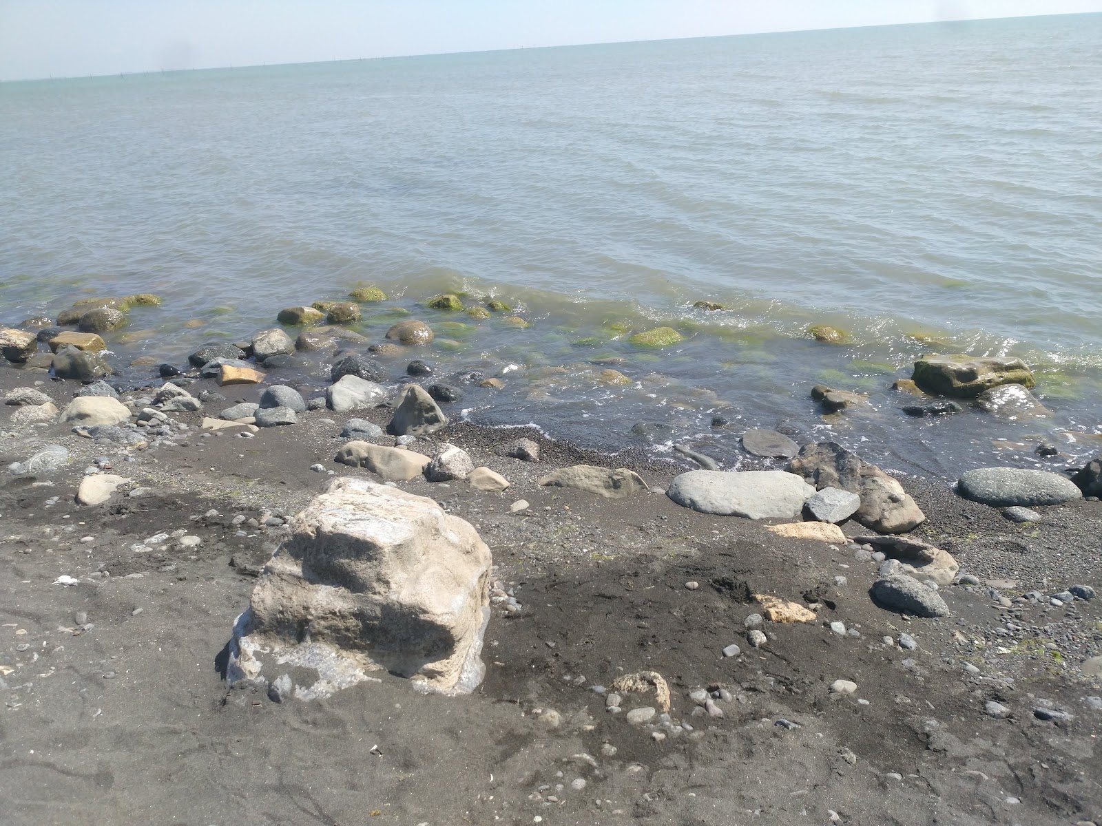 Black sand beach — photo 3