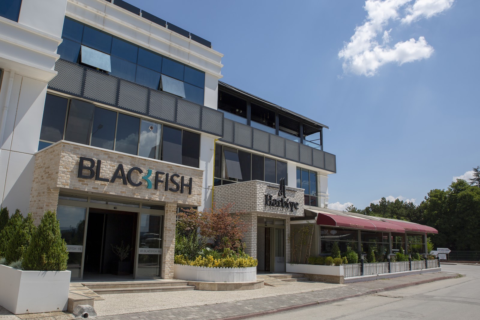 Blackfish Restaurant — photo 2