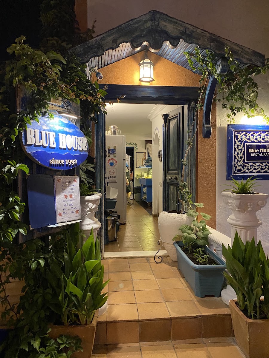 Blue House — photo