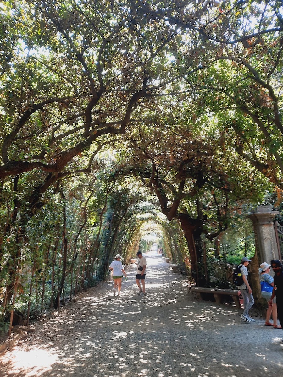 Boboli Bahçeleri — photo 3
