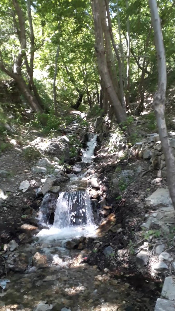 Boğaz Mangal Evi — fotoğraf 3