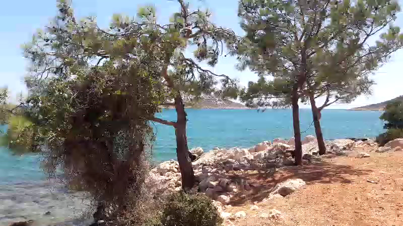Boğsak — photo 3