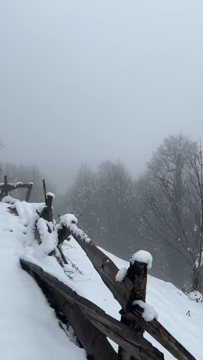Bolu Dağı — fotoğraf 2