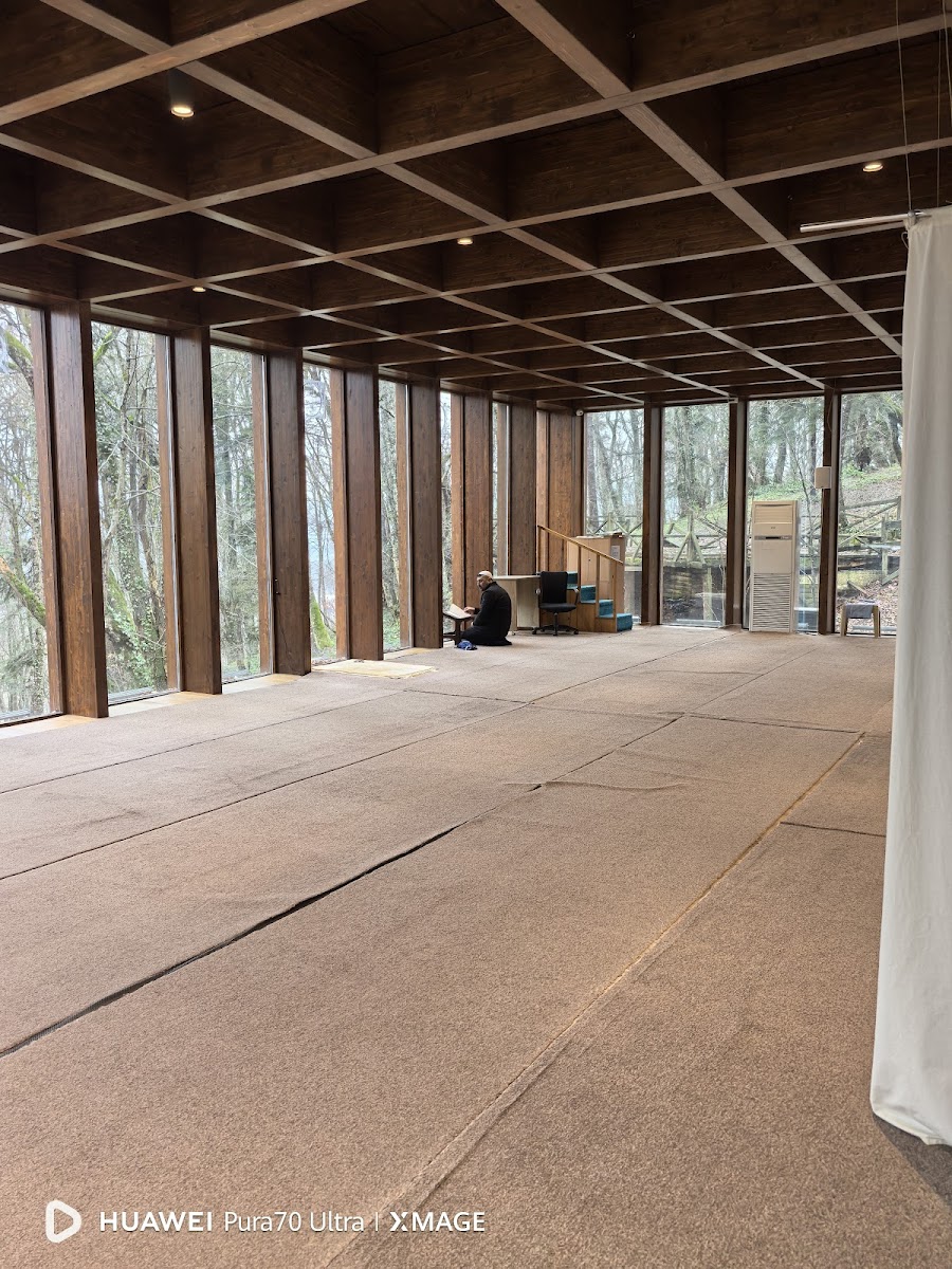 Bolu Kent Ormanı — fotoğraf 2