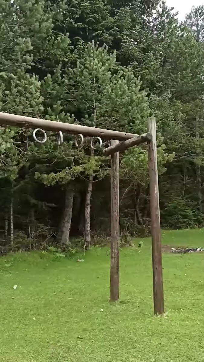 Bolu Kent Ormanı — fotoğraf 3