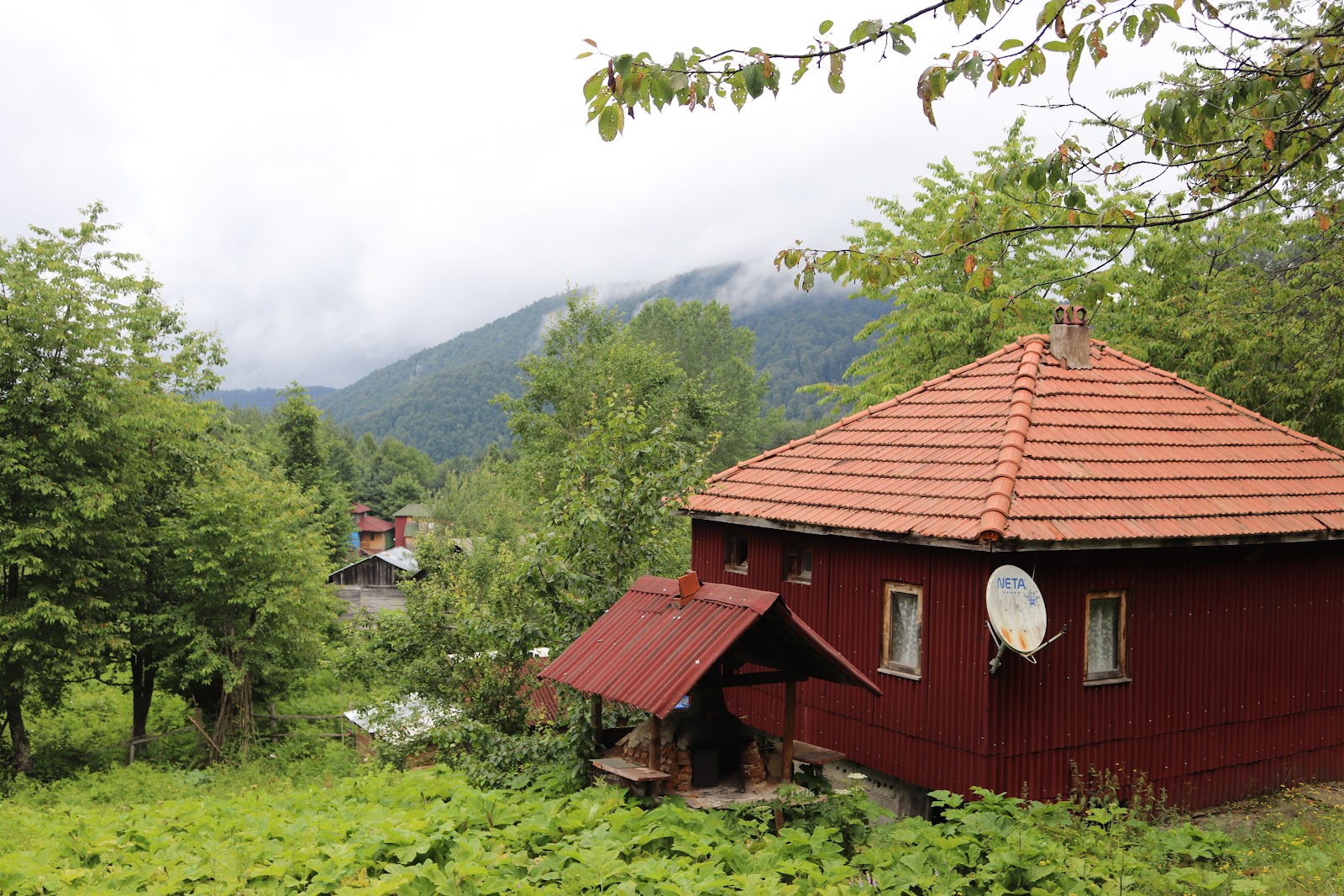 Bölüklü Yaylası — fotoğraf 2