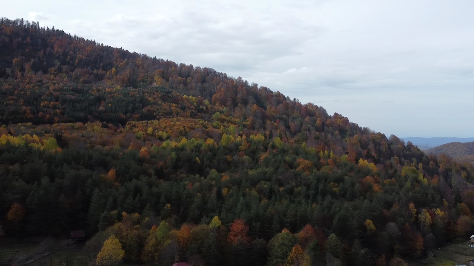 Bölüklü Yaylası — fotoğraf 3