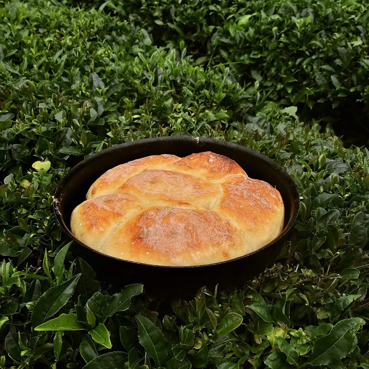 Borçka Dere Pansiyon / Restoran — fotoğraf 5