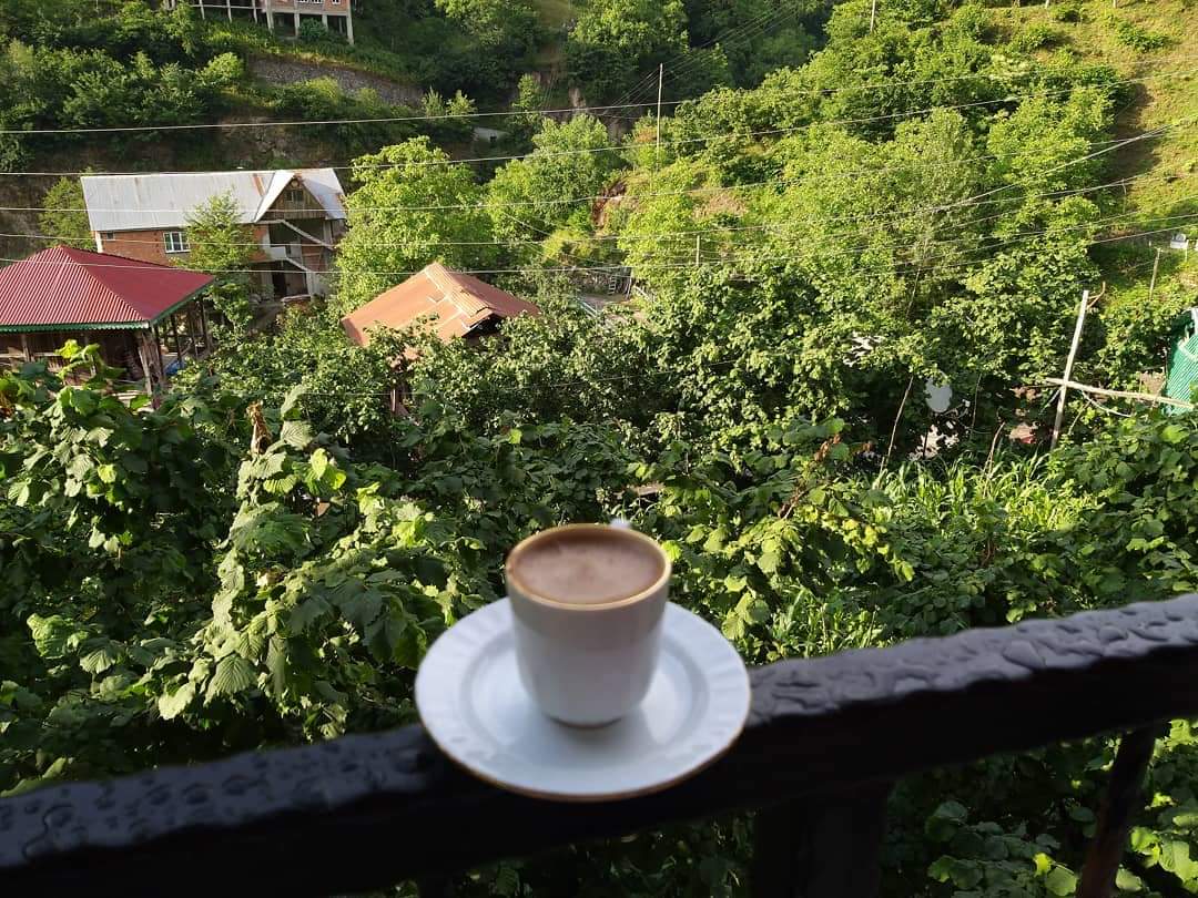 Borçka Dere Pansiyon / Restoran — fotoğraf 7