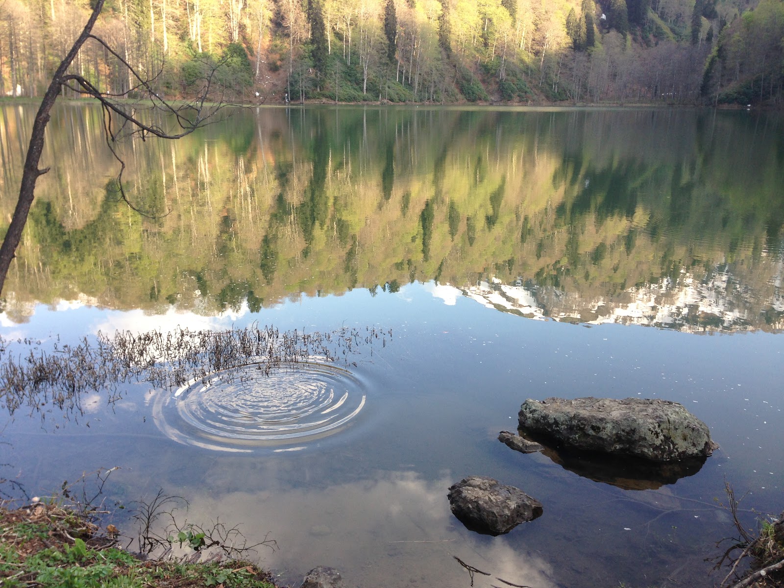 Borçka Karagöl Tabiat Parkı — fotoğraf 2