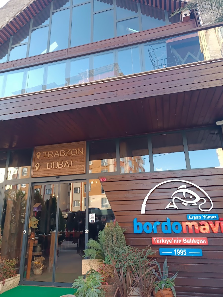 Bordo Mavi Balık-Erşan Yılmaz — fotoğraf 1