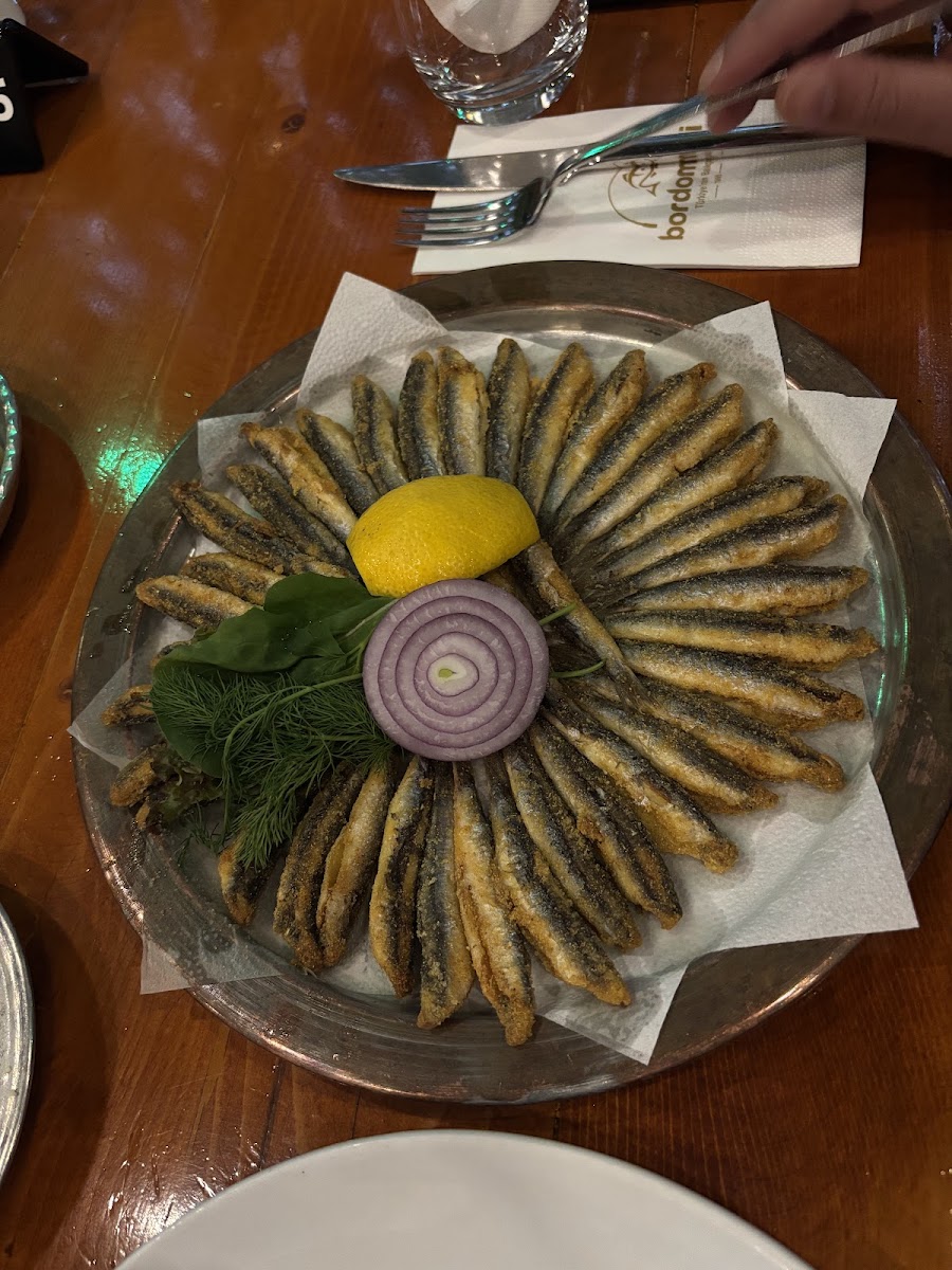 Bordo Mavi Balık-Erşan Yılmaz — fotoğraf 2