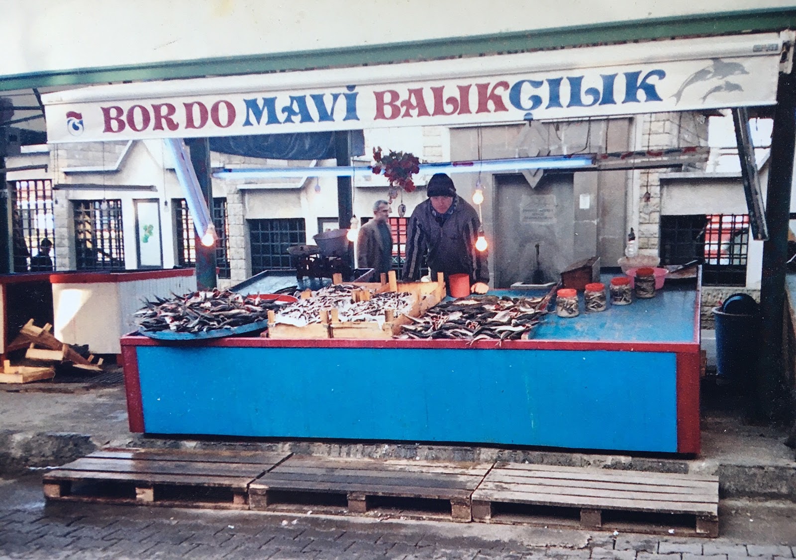 Bordo Mavi Balık-Erşan Yılmaz — fotoğraf 5