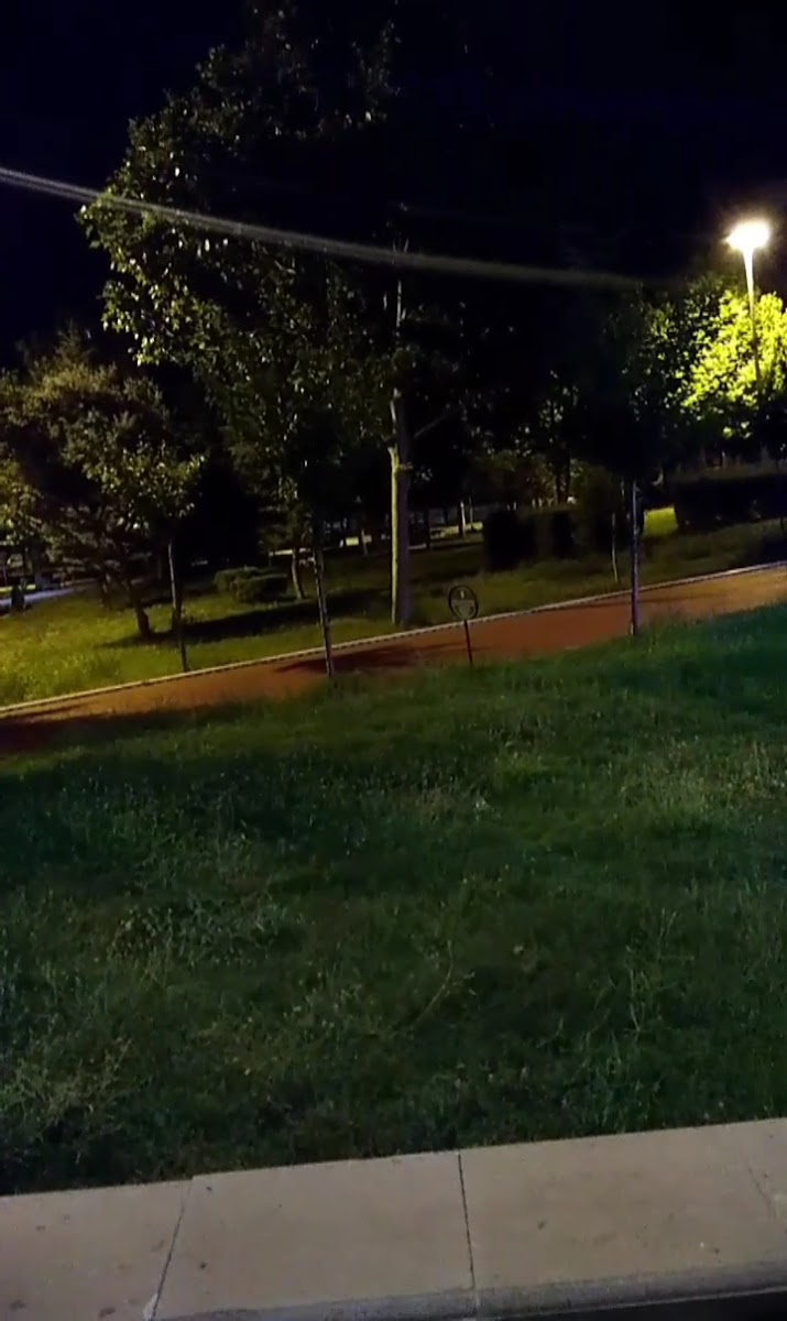 Bosna Parkı — fotoğraf 2