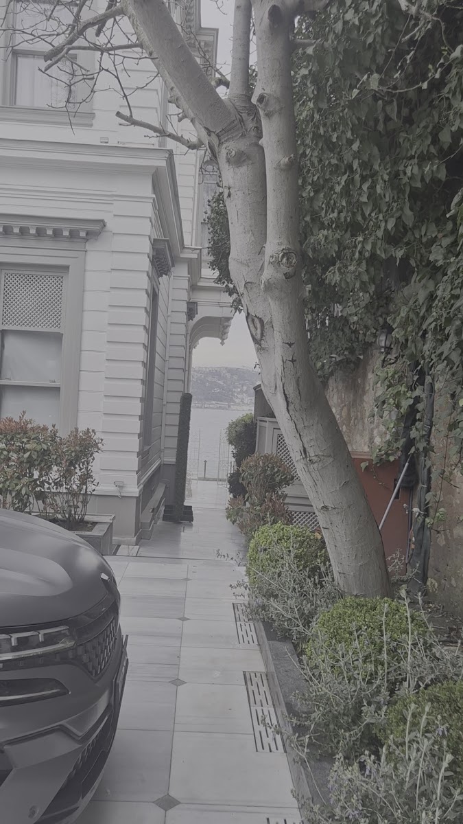 Bosphorus Palace Hotel — fotoğraf 2