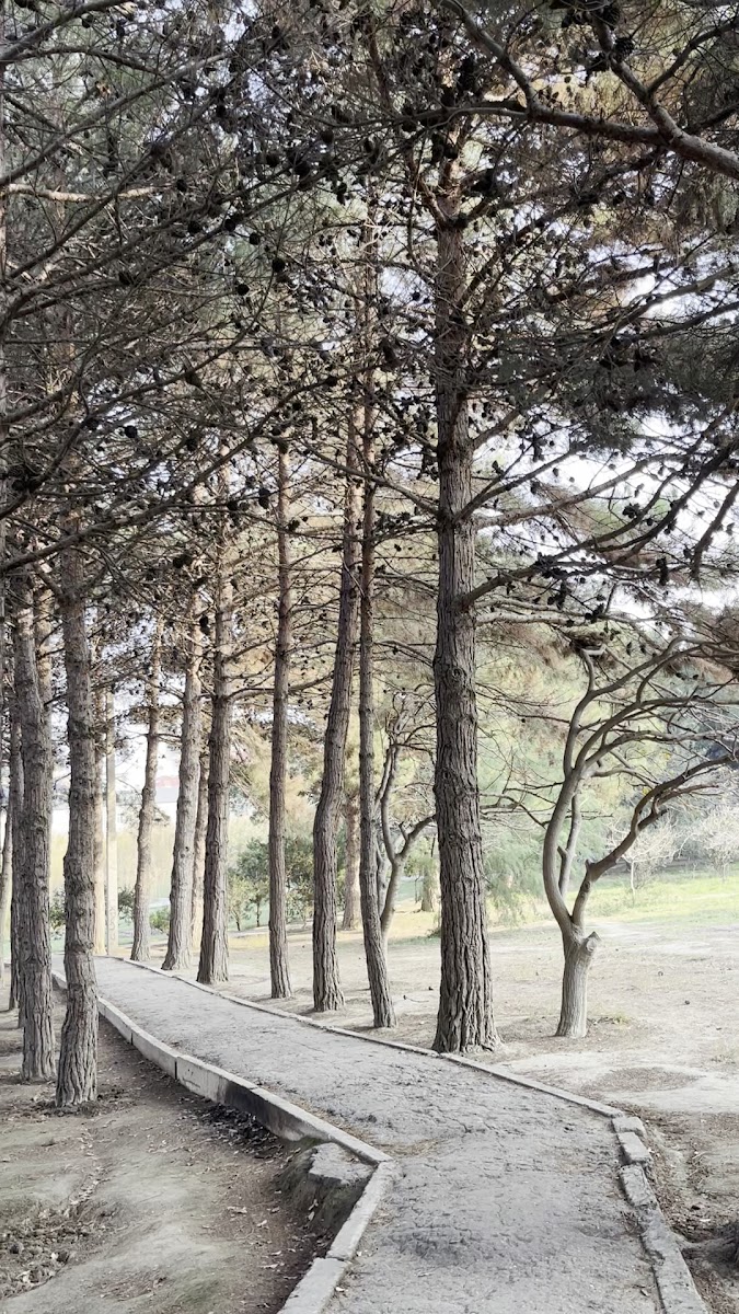 Botanical Garden — photo 2