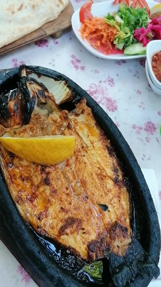 Botanik Restaurant — photo 3
