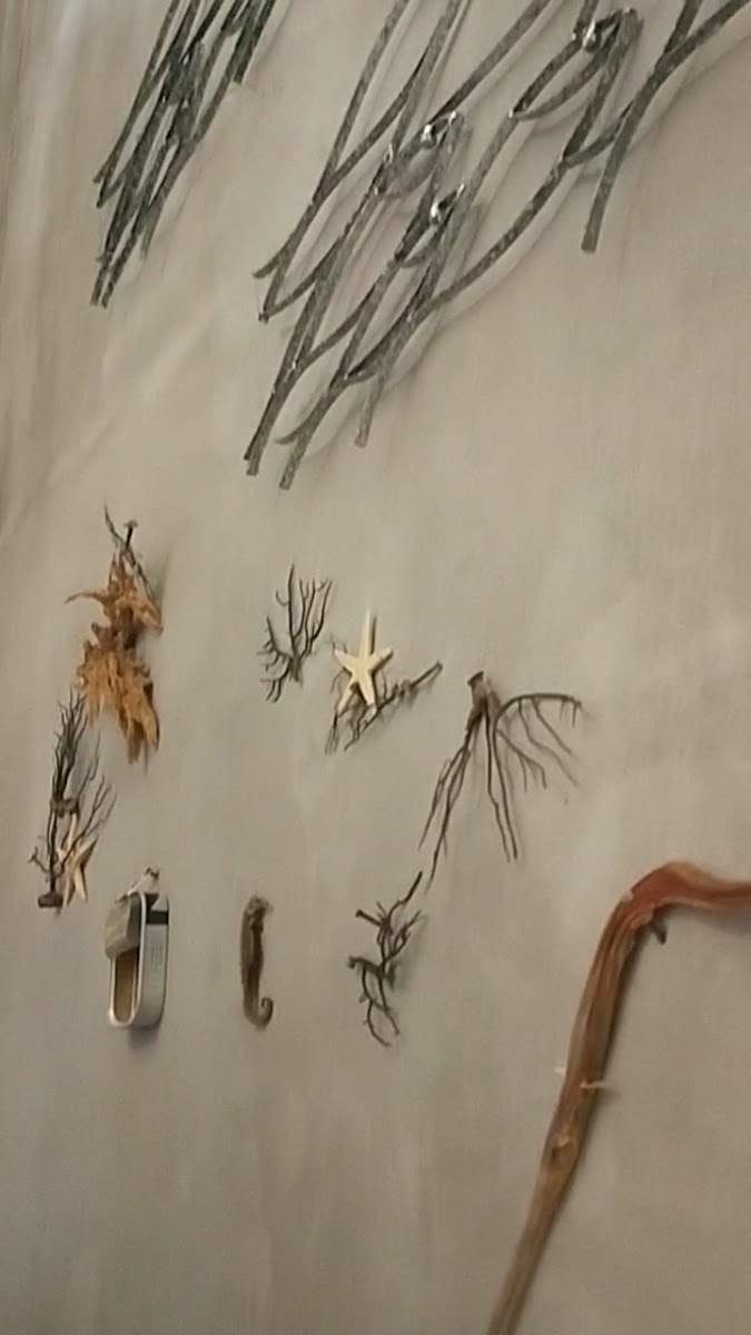 Bottarga restaurant — photo 3