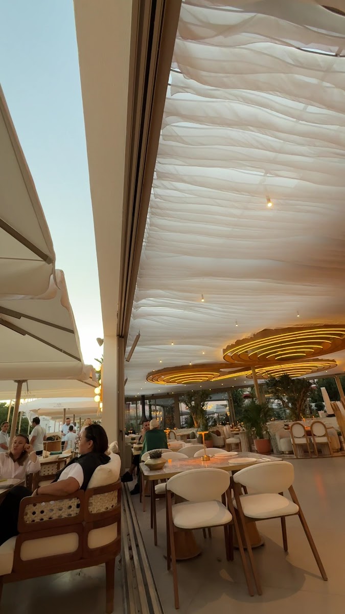 Bottega — photo 3