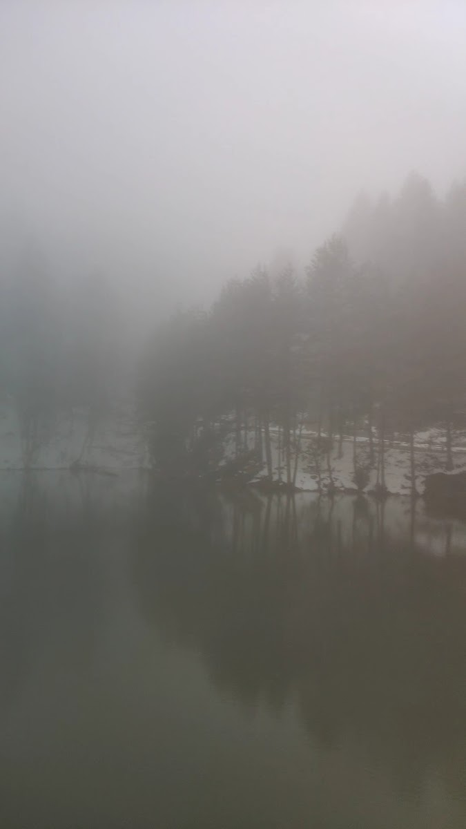 Bozcaarmut Göleti — fotoğraf 2