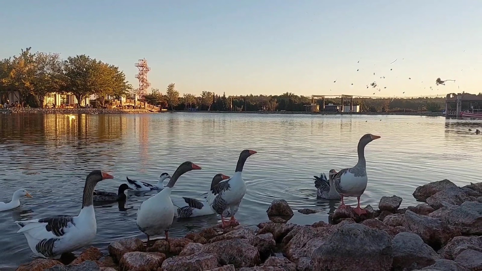 Buca Gölet — fotoğraf 3