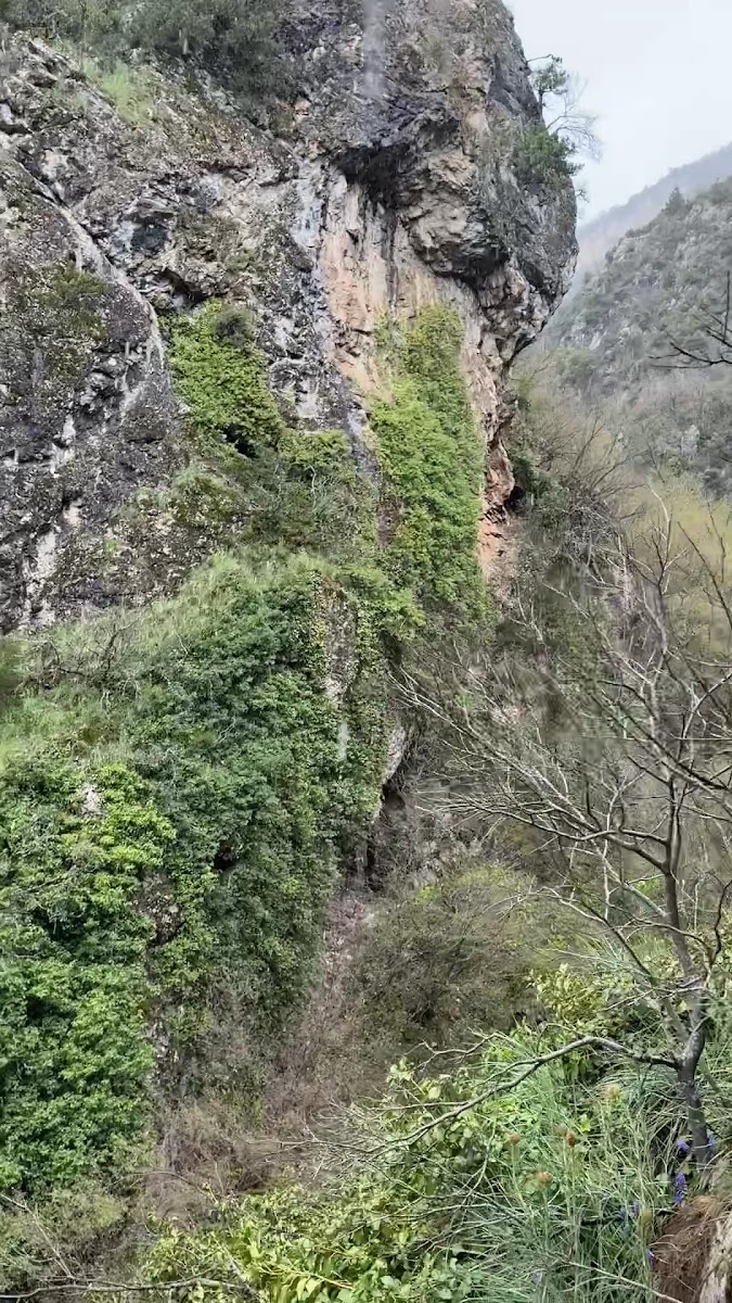 Bulak Mencilis Mağarası — fotoğraf 2
