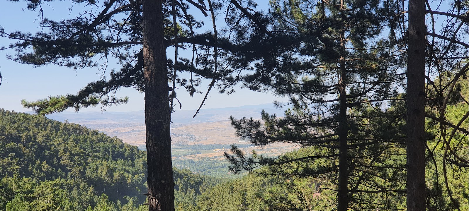 Bülbül Pınarı Mesire Alanı — fotoğraf 2