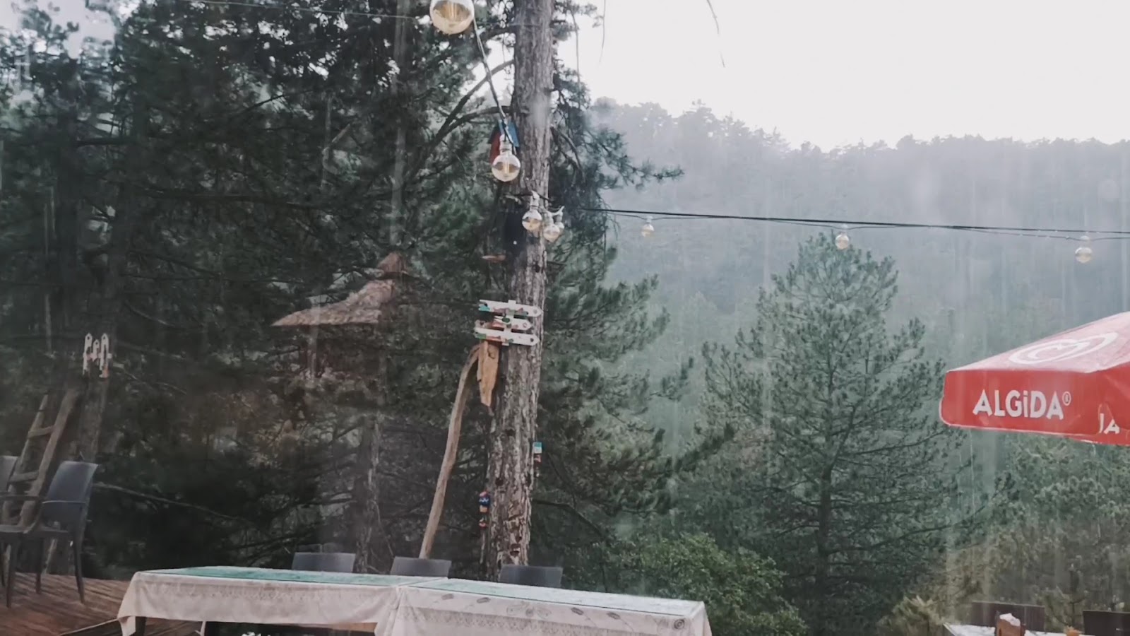 Bülbül Pınarı Mesire Alanı — fotoğraf 3