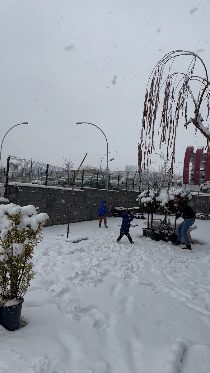 Bülent Börekçilik Malatya Tecde — fotoğraf 3