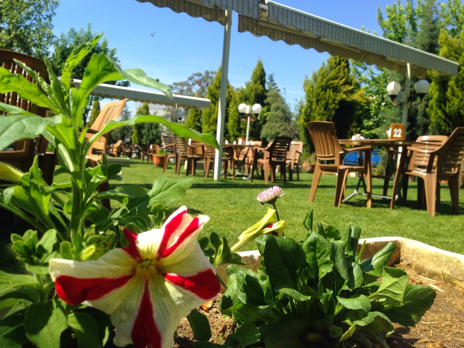 Bulvar Restaurant & Unlu Mamülleri & Kahvaltı — fotoğraf 6