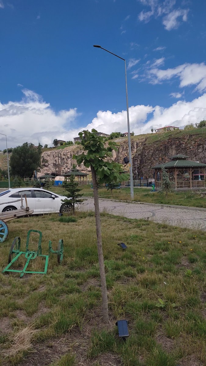 BUNGALOV EVLER — fotoğraf 3
